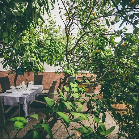 Apartment Deluxe Garden