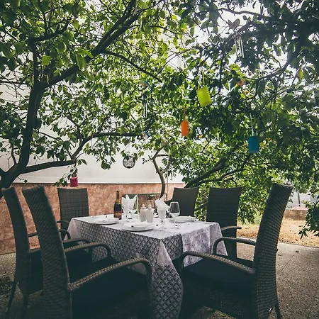 Deluxe Garden Apartment